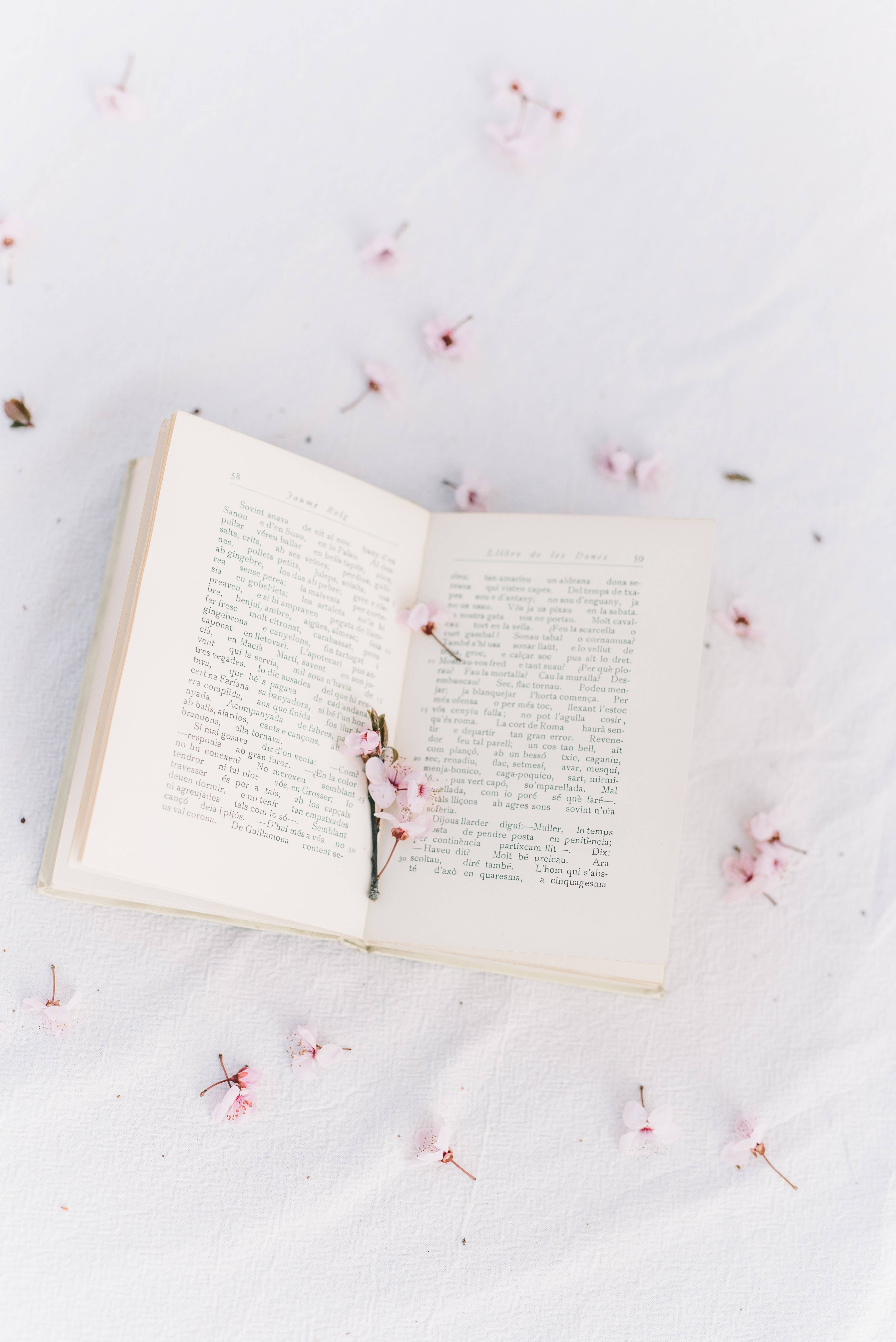 پریپی ایستھیٹک ساکورا کتاب وال پیپر