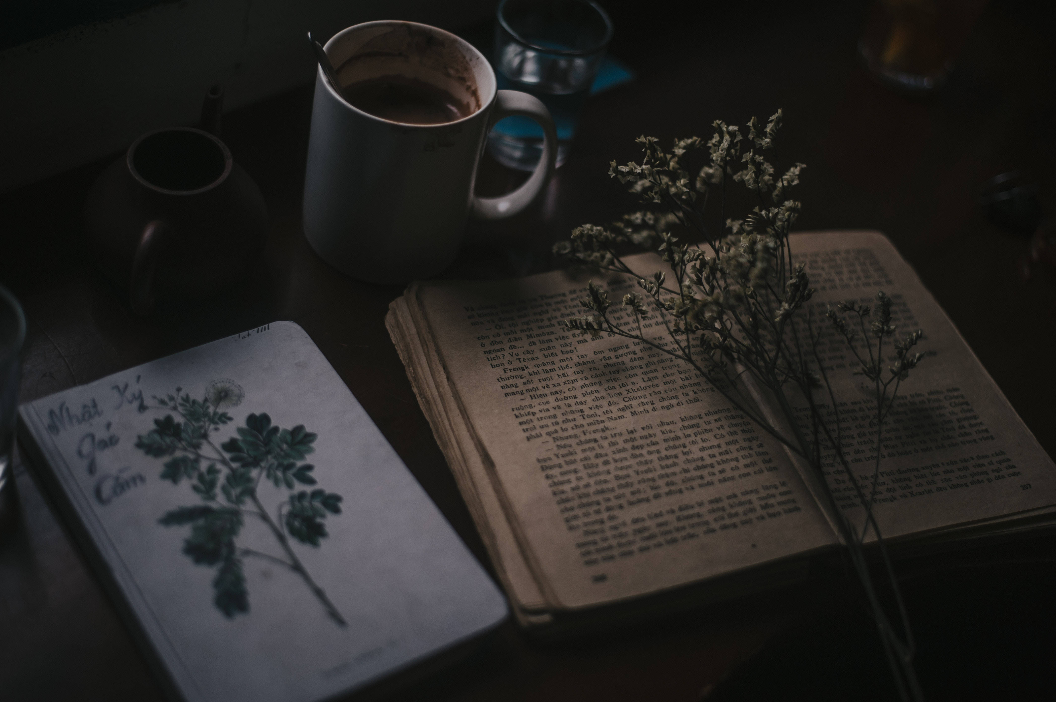 پریپی ایستھیٹک کتابیں پودے وال پیپر