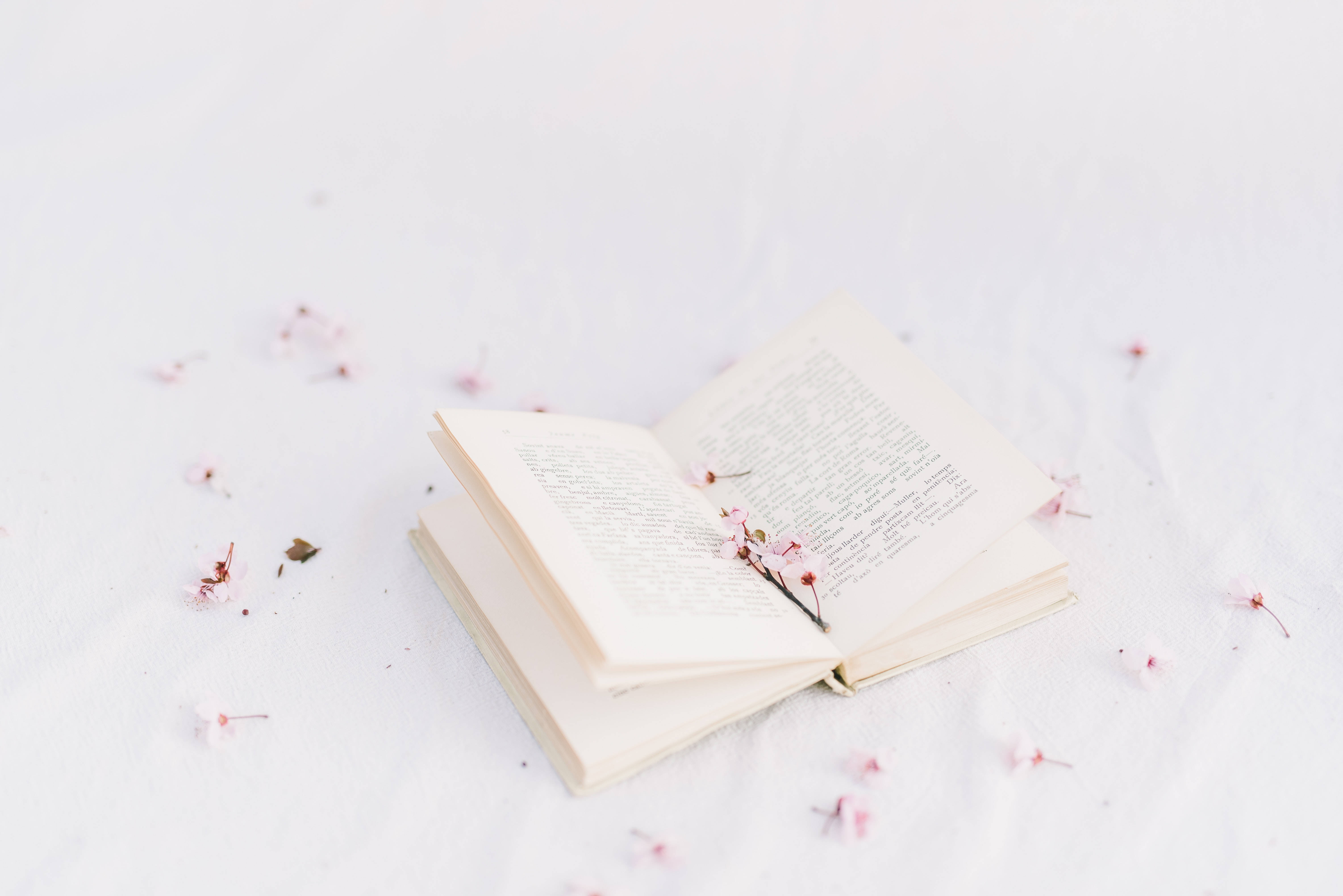پریپی جمالیاتی کتاب کے پھول وال پیپر