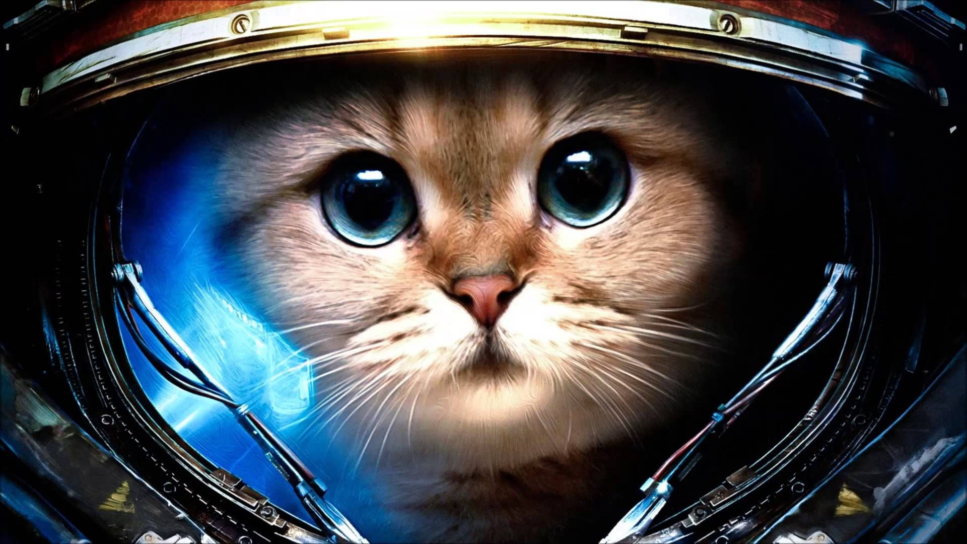 پیارا خلاباز بلی کمپیوٹر وال پیپر