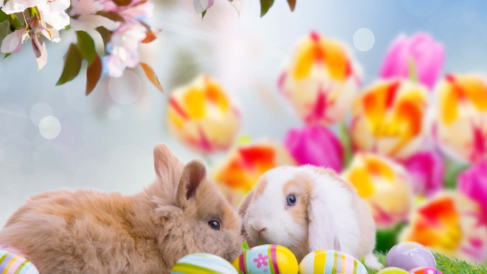 پیارے ایسٹر خرگوش اور چمکدار رنگوں کے انڈے ایک جاندار بہاری پس منظر پر وال پیپر