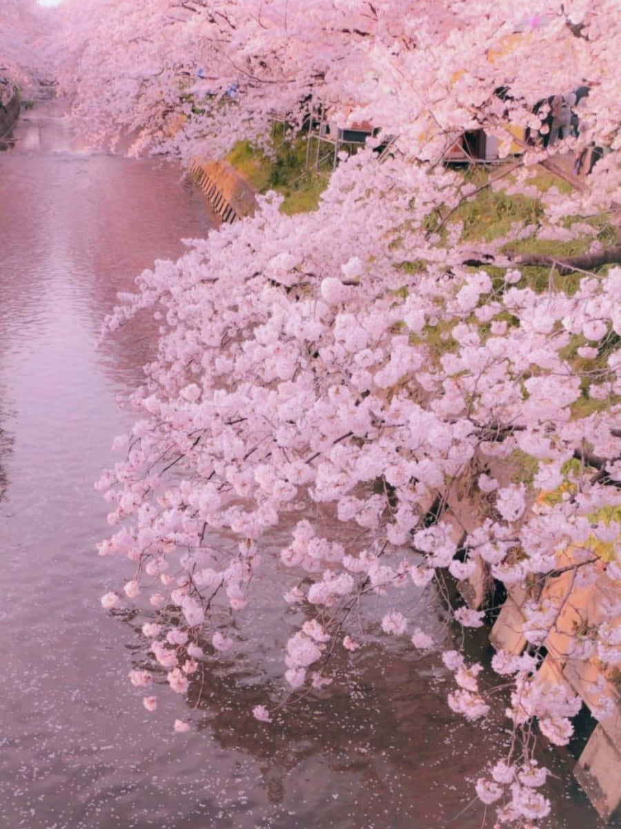 پیسٹل خوابوں کی سرزمین وال پیپر