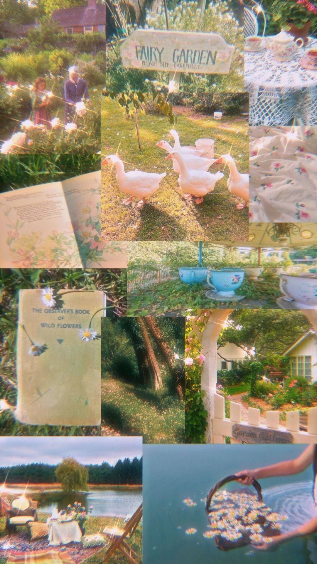 چمکتی پری جمالیات وال پیپر