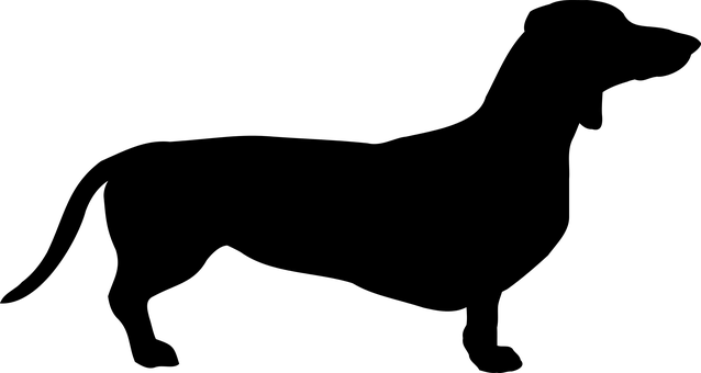 کالی اسکرین بغیر کسی مواد کے کتے سے متعلق وال پیپر