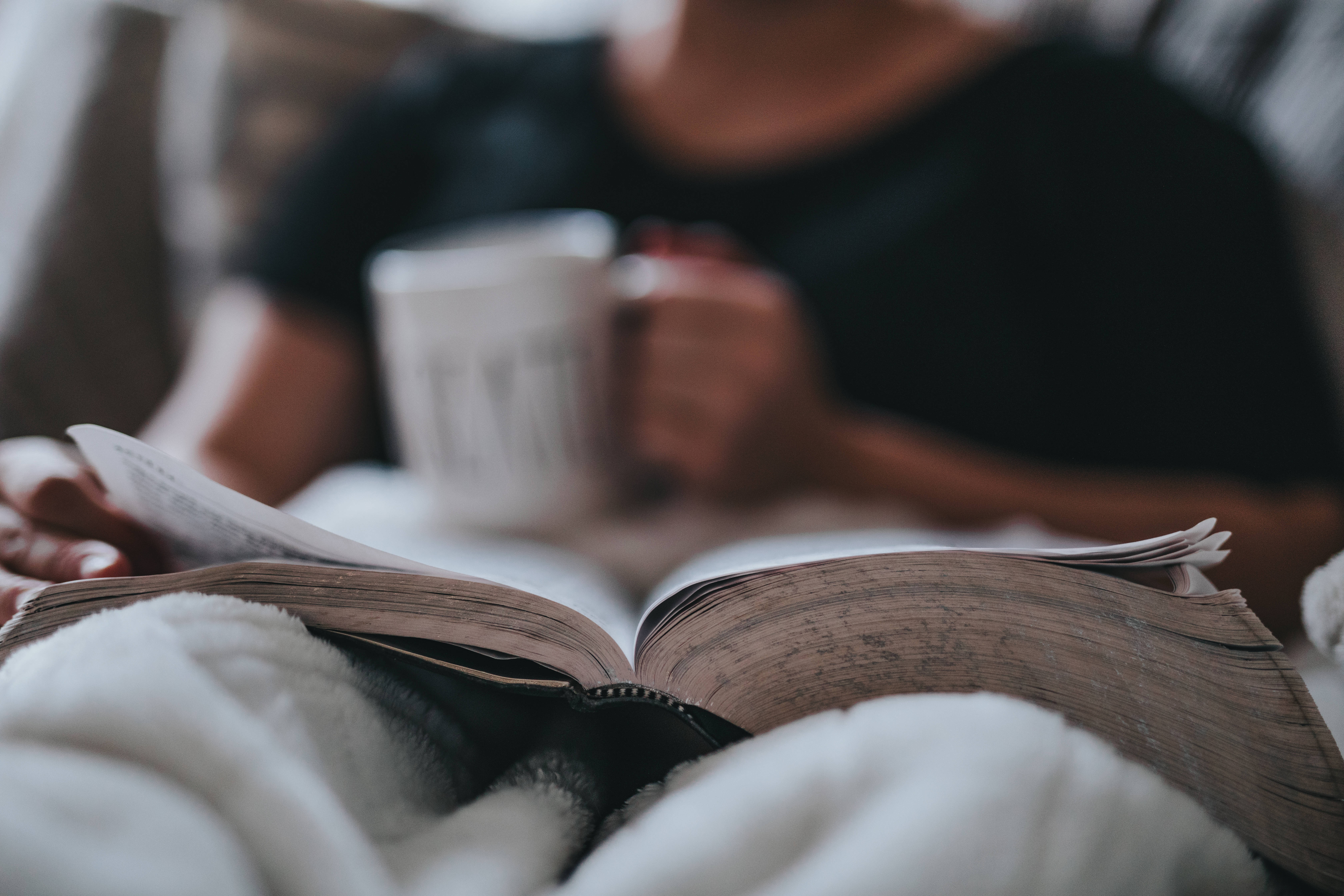 کتابوں کا آرام دہ جمالیاتی منظر وال پیپر