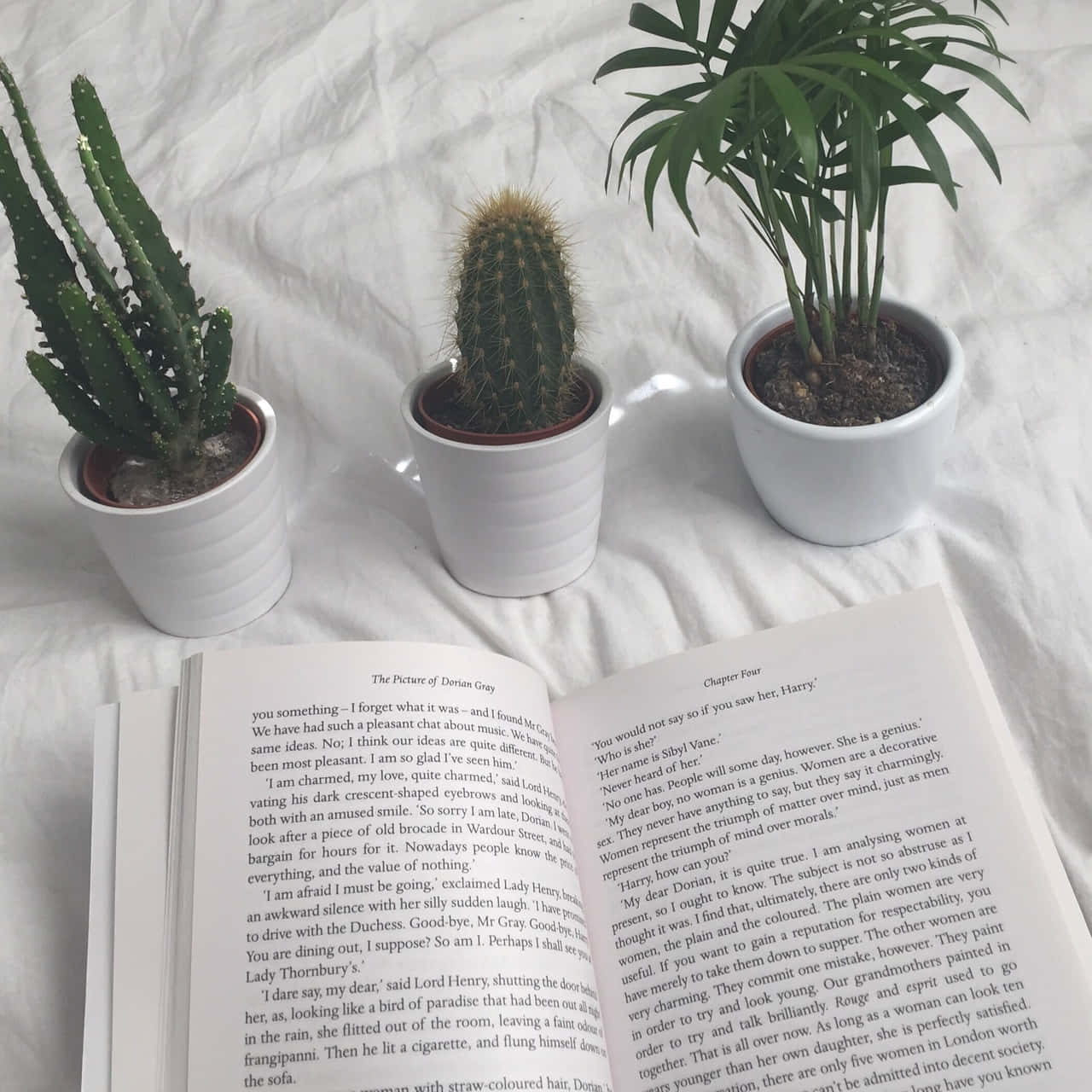 کتابوں کی دنیا کو دریافت کریں! 📖 وال پیپر