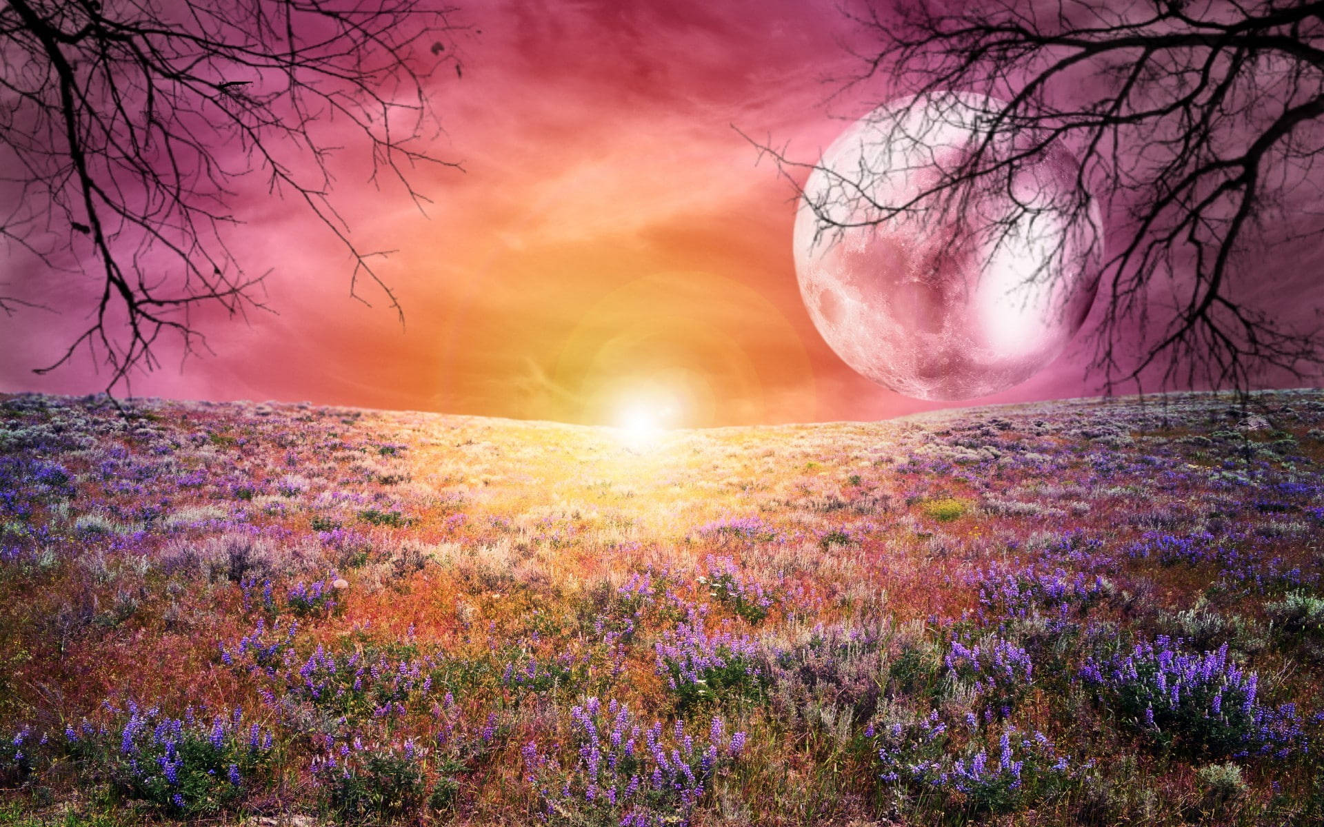 کہکشاں کا چاند اور پھولوں کا کھیت وال پیپر