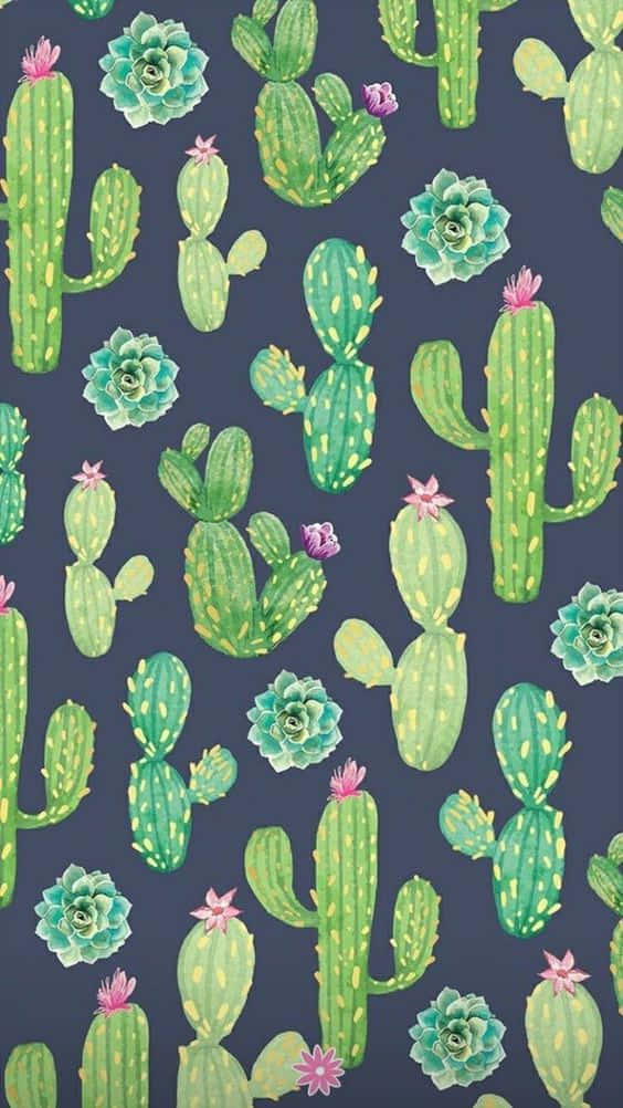 کیکٹس آئی فون ڈرائینگ وال پیپر