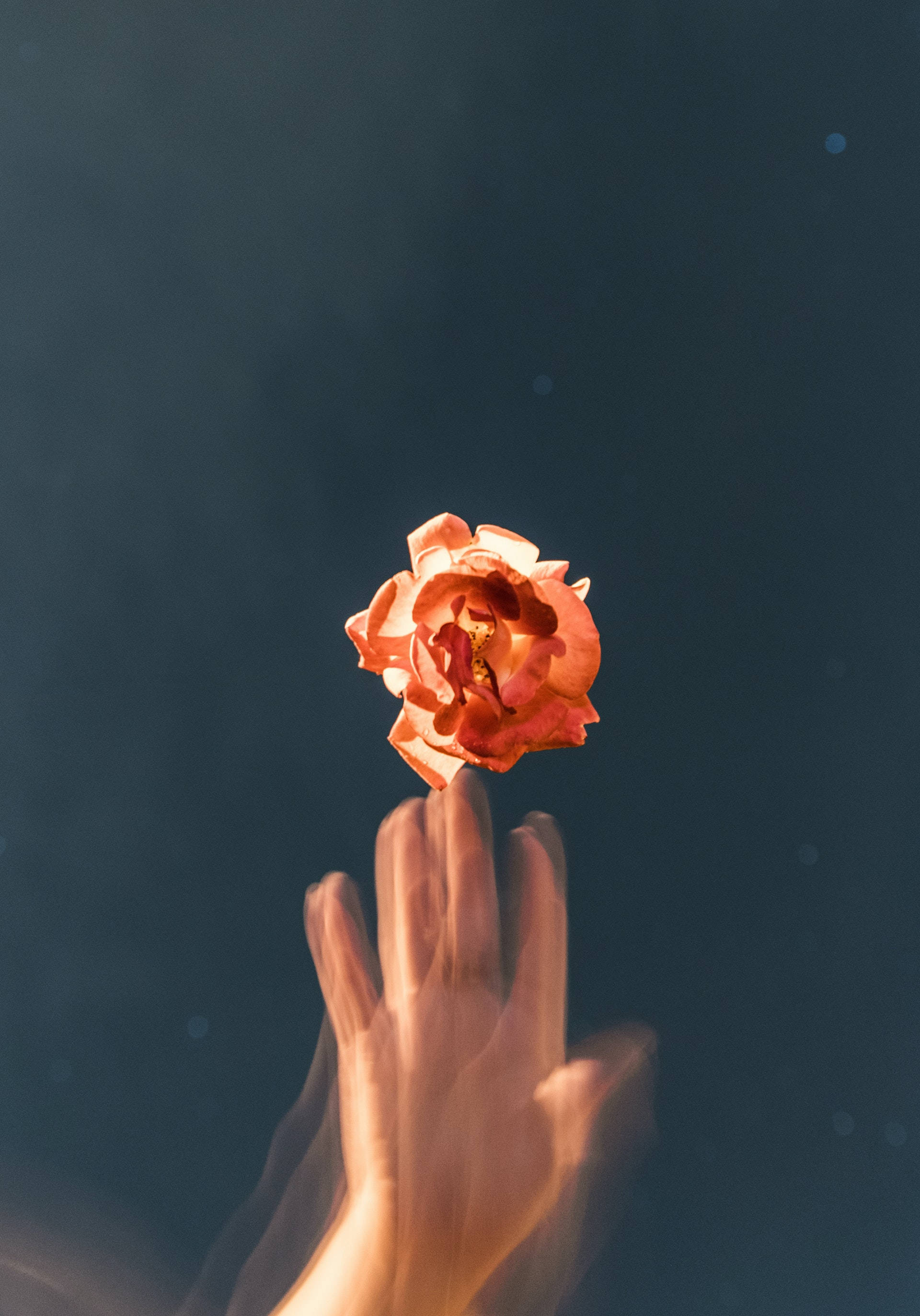 گلیچ اورنج گلاب جمالیاتی وال پیپر