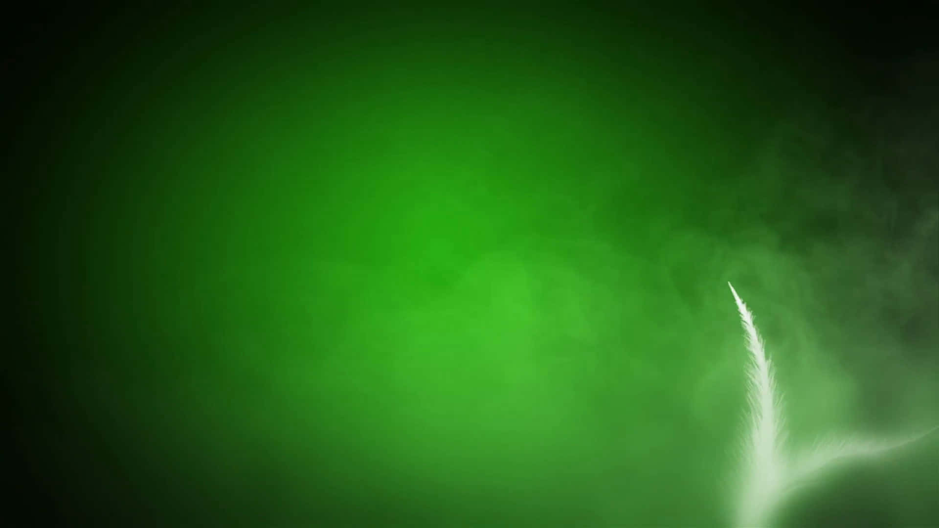 گہرا اور بھرپور گہرا سبز پس منظر۔ وال پیپر
