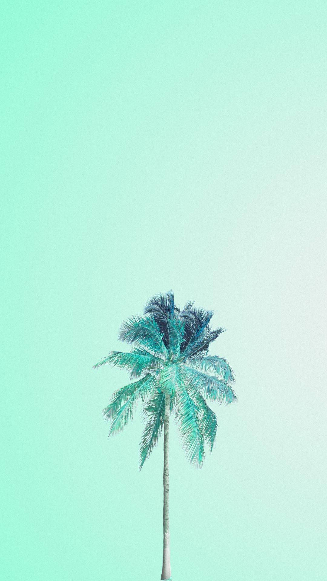 ہلکا سبز جمالیاتی کھجور کا درخت وال پیپر