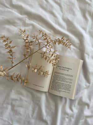 کتاب کی جمالیاتی تصاویر — کتاب کی جمالیات وال پیپر