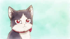 ایک گھریلو بلی ایک نوجوان کے ساتھ کمرے میں وقت گزار رہی ہے — Anime cat وال پیپر