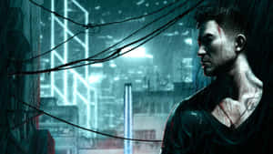 Sleeping Dogs والی تصویر — سلیپنگ ڈاگز وال پیپر