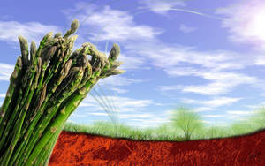 تازہ اور صحت بخش سبزی asparagus — آسمانی منظر وال پیپر