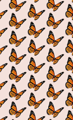 خوبصورت تتلی والا بیک گراؤنڈ — تتلی جمالیاتی متحرک تصویر وال پیپر