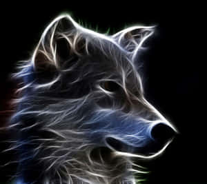 Galaxy Wolf وال پیپر — کہکشاں بھیڑیا وال پیپر