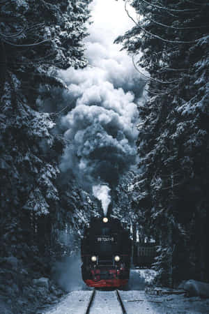 آرام دہ موسم سرما ٹمبلر