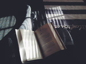 سنّی بُک ایستھیٹک وال پیپر — کتاب کی جمالیات وال پیپر