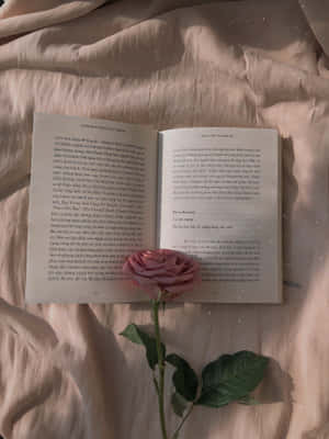 کتابی جمالیات کی تصاویر — کتاب کی جمالیات وال پیپر
