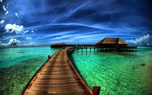 فطری خوبصورتی