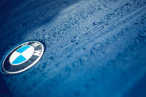 نیلی کار پر قطروں کے ساتھ BMW لوگو کا کلوز اپ وال پیپر