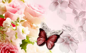 خوبصورت ڈیسک ٹاپ [وال پیپر] — تتلی وال پیپر