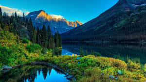 ایچ ڈی بیک گراؤنڈ