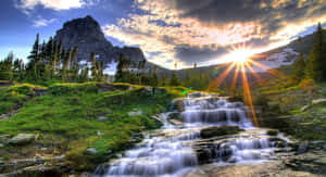 ایچ ڈی پس منظر