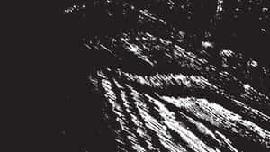 کیپشن: ایک دلکش یک رنگی منظر — ٹرپپ ڈارک ایستھیٹک وال پیپر