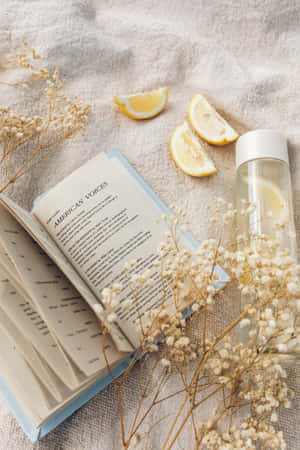 زندگی کا جمالیاتی — کتاب کی جمالیات وال پیپر