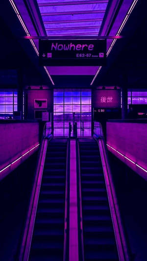گہرا جامنی جمالیاتی اینیمی ایسکلیٹر — گہرا جامنی جمالیاتی وال پیپر